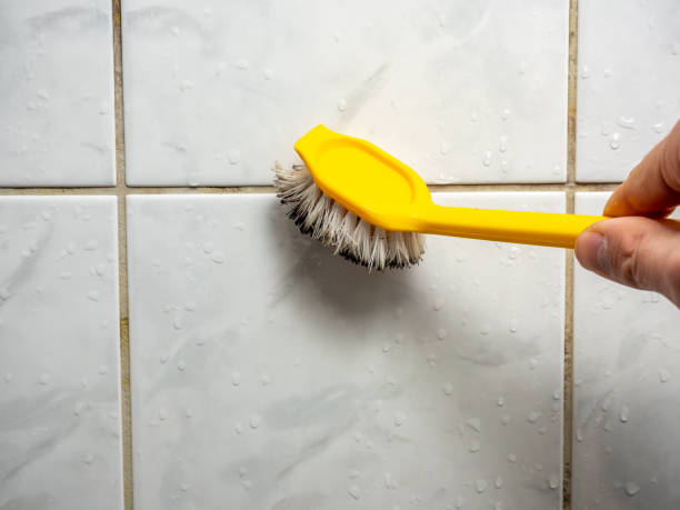 Best Best Mold Removal Companies  in Baxter Village, SC