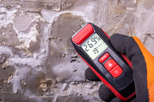 Best Mold Damage Repair  in Baxter Village, SC