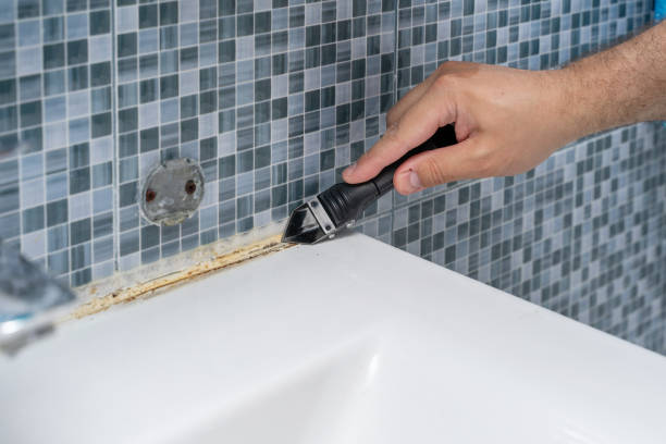 Best Mold Remediation  in Baxter Village, SC